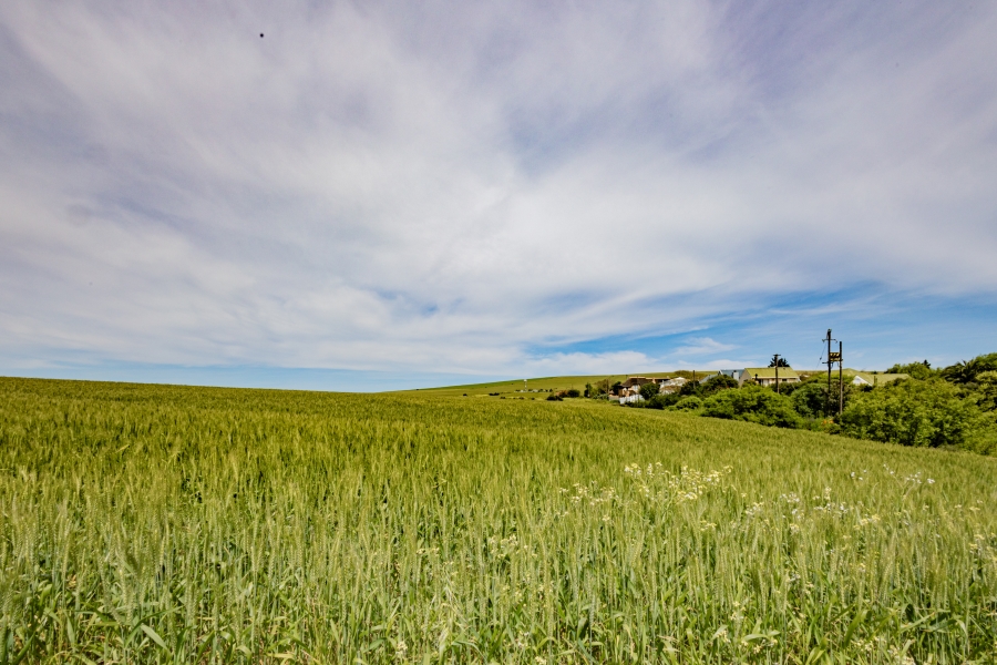 3 Bedroom Property for Sale in Philadelphia Western Cape